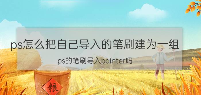 ps怎么把自己导入的笔刷建为一组 ps的笔刷导入painter吗？